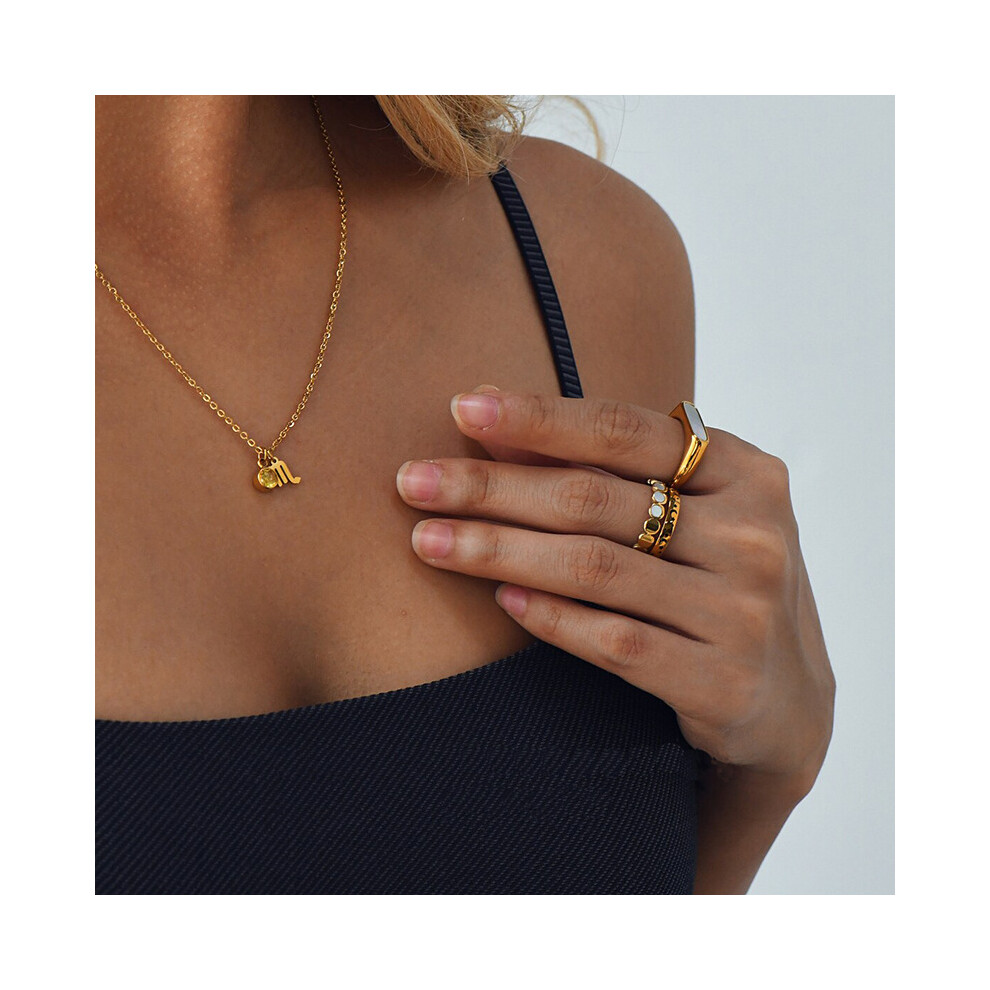 (CAPRICORN) Horoscope & Birthstone Necklace Chain 45cm Long - Image 4