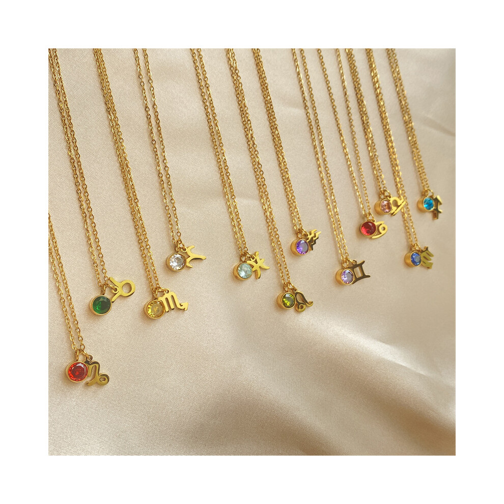 (CAPRICORN) Horoscope & Birthstone Necklace Chain 45cm Long