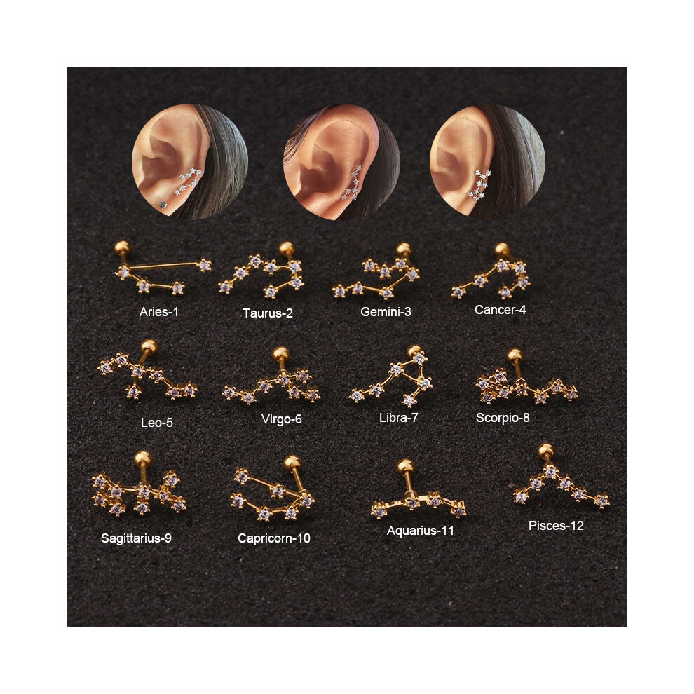 (Pisces) Gold Zodiac Silver Earrings Horoscope Sign Earring